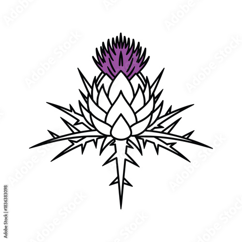 Stylized Thistle Flower Illustration