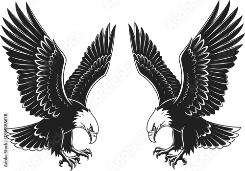 Aggressive Black and White Vector Illustration of Two Mirrored Bald Eagles Attacking