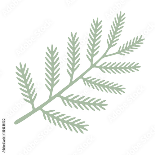 Illustration of a light green fern branch with small leaves extending from the main stem design element