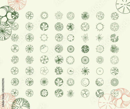 Vector tree top view isolated on white background for landscape plan and architecture layout drawing, elements for environment and garden, CAD Vehicle Drawing Elements