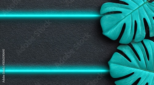 Green leafy plant with a blue background. The background is a dark grey color. The plant is surrounded by a blue line