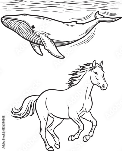 Adobe Illustrator Artwork