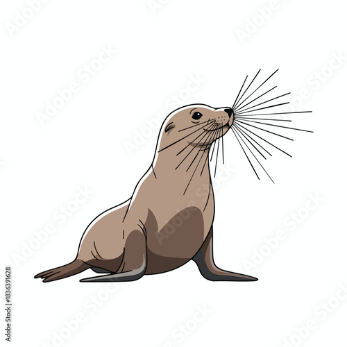 Sea Lion Sitting on White Background