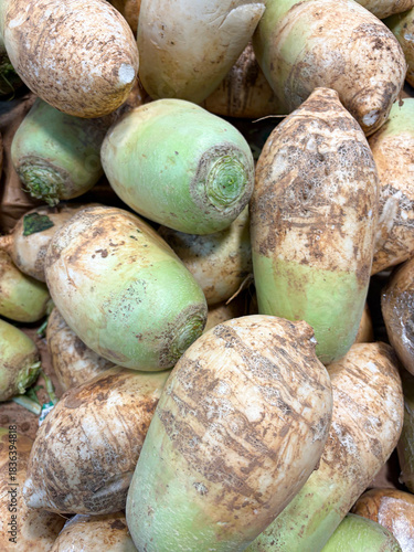 stacked trimmed raw radish roots for sale.