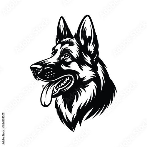 Detailed black and white illustration of a german shepherd dog head