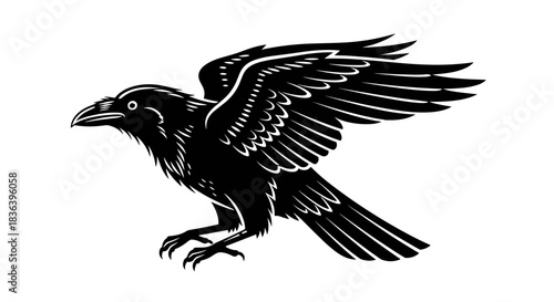 Black raven flying illustration in a vintage woodcut style.