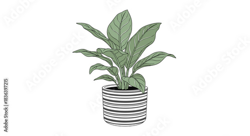 Minimalist line drawing of a lush green houseplant in a decorative black and white striped pot isolated on a white background.