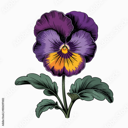 A beautifully detailed illustration of a vibrant purple pansy flower with rich yellow accents, surrounded by green leaves, symbolizing beauty and nature in artistry.