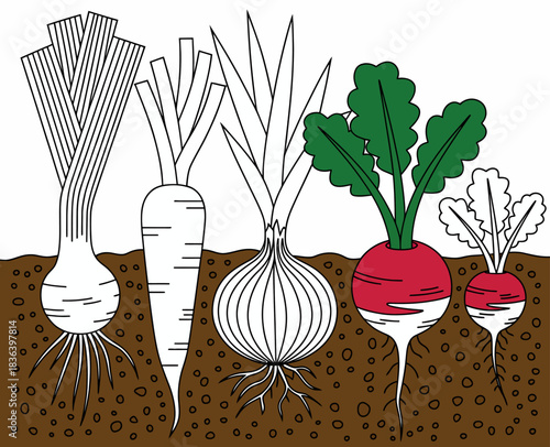 This vibrant illustration showcases various garden vegetables such as leeks, radishes, and onions, highlighting their unique shapes and colors against a soil backdrop.