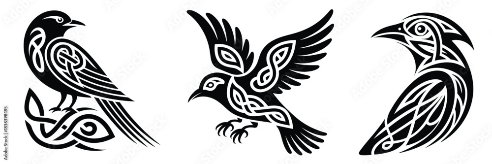 Obraz premium Black celtic raven bird vector set,