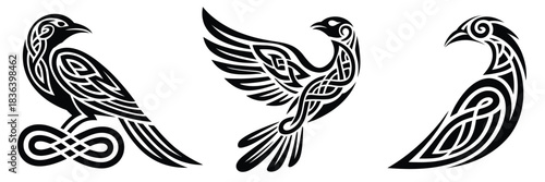 Celtic raven bird collection,