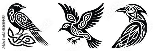 Black celtic raven bird vector set,