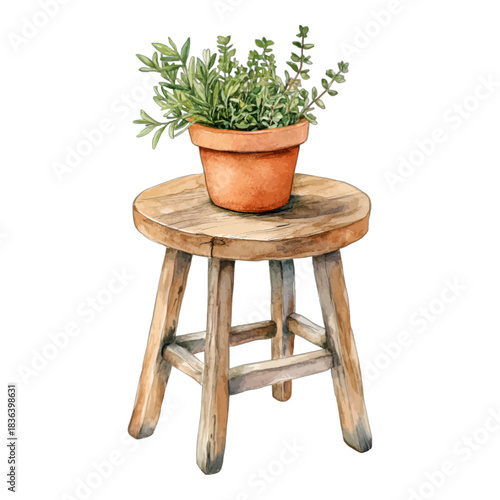 Watercolor rustic wooden stool with potted herb, vector illustration
