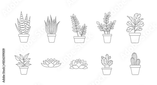 Minimalist Line Art Set of 10 Potted Indoor Plants, Cacti, and Succulents Icons