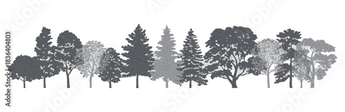 Architectural Vector Drawing of Wetland Forest Treeline Section for Landscape Design