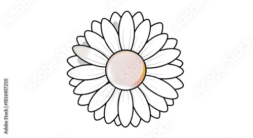 Simple white daisy flower illustration on a clean background.