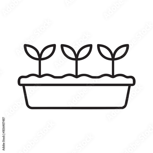 Illustration of seedlings in tray for growing plants gardening concept