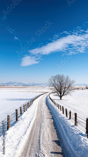 Wallpaper Mural Snowy Road Leading to Bare Tree Under Blue Sky Torontodigital.ca