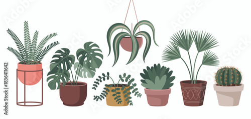 An aesthetic collection of various indoor plants in stylish pots, showcasing the beauty and tranquility that greenery can bring to modern living spaces and homes.