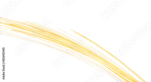 Elegant golden light streaks dance across a black background creating a modern, dynamic abstract perfect for technology or luxury branding projects