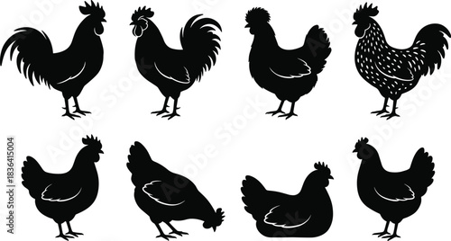 Farm Animals Silhouette Collection, Rooster and Hen Vector Set, Domestic Poultry Icons, Detailed Black Chickens, Agriculture Livestock Design Elements, Countryside Graphics, Food and Farming Symbols.