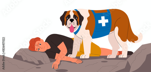 A brave St. Bernard dog is aiding an injured person, showcasing the bond between humans and their canine companions in moments of emergency and need for rescue.