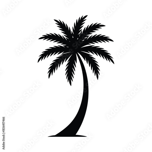 Black silhouette of a tropical palm tree on a white background
