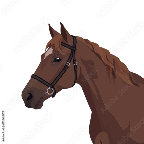 Brown Horse Head with Bridle Illustration