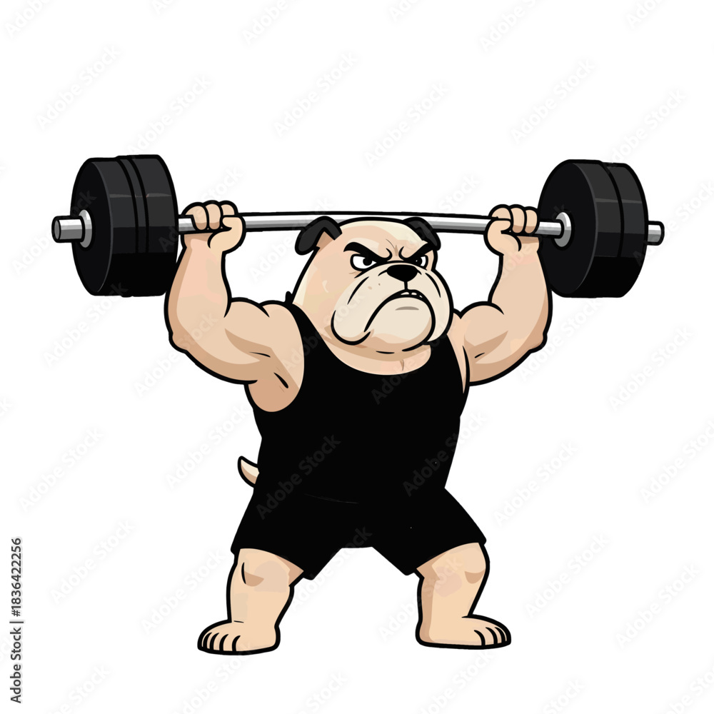 Naklejka premium Muscular Bulldog Lifting Barbell Cartoon Illustration