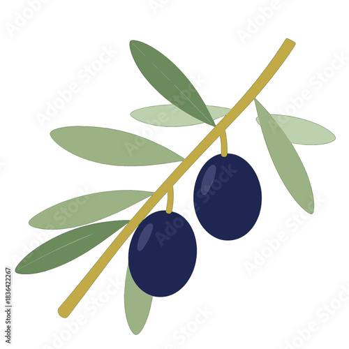 Olive Branch with Green Leaves and Blue Olives Illustration