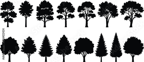 Black silhouette trees set, diverse species shapes, nature vector collection on white.