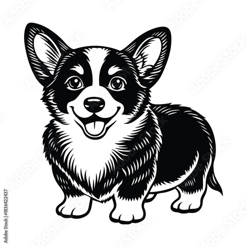 Corgi puppy tilting head with smiling expression
