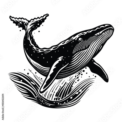 Humpback whale breaching ocean vector