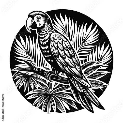 Parrot with vibrant feathers perched on branch