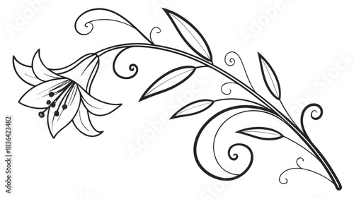 Elegant Outline Lily Flower with Decorative Swirls and Leaves, Black and White Floral Ornament Vector Illustration