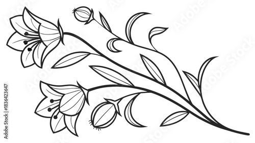 Elegant Black and White Bellflower Line Art Illustration with Leaves and Buds, Decorative Botanical Drawing, Vintage Floral Design Element