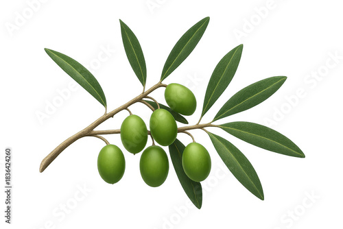 Wallpaper Mural Green olive branch with fresh raw olives and leaves, symbolizing peace, nature, healthy food, and mediterranean cuisine on transparent background Torontodigital.ca
