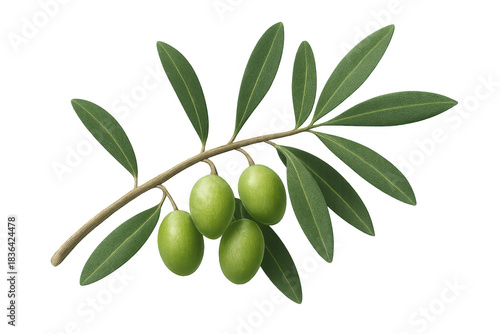 Wallpaper Mural Olive branch featuring green olives and leaves, symbolizing peace, health, and mediterranean cuisine on transparent background Torontodigital.ca