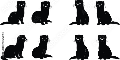 Collection of black ferret or mink silhouettes in various alert and sitting positions with whiskers and white faces, isolated vector illustration set.