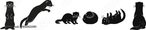 Collection of black ferret or mink silhouettes showing various actions like standing, jumping, resting, and playing on the back, isolated vector illustration graphic.