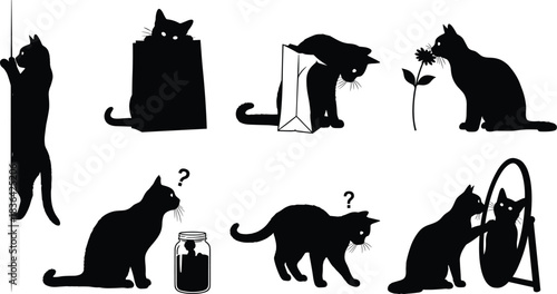 Collection of curious black cat silhouettes showing various actions like playing, sniffing, looking at reflection, and investigating objects, isolated vector set.