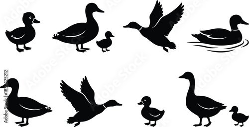 Detailed Eagle Silhouettes Set, Flying Bird of Prey Vector Wildlife Icons Collection