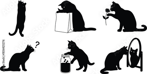 Collection of curious black cat silhouettes showing various actions like standing, sniffing flower, investigating jar, and looking in mirror, isolated vector graphic.