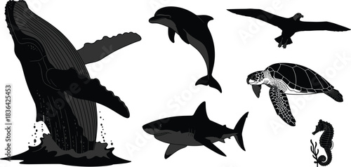 Diverse marine life illustration set featuring humpback whale, great white shark, dolphin, sea turtle, albatross, and seahorse, isolated vector graphic.