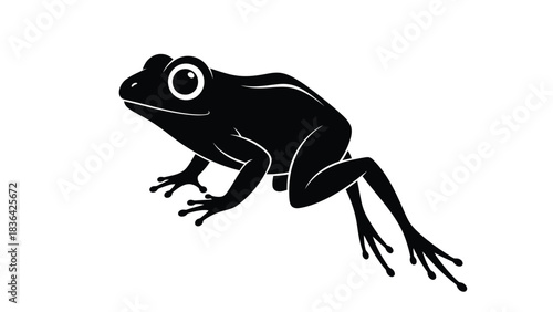 Black Silhouette of a Frog on a White Background amphibian