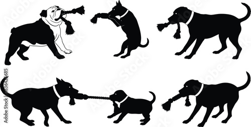 Dog silhouette collection showing various breeds and ages playing tug-of-war with a braided rope toy, isolated black vector illustration set.