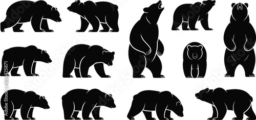 Duck and Canada Goose Silhouettes, Flying Waterfowl Bird Vector Wildlife Set Collection