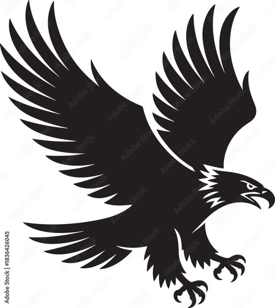 Fototapeta premium Black Eagle Silhouette Flying Wings Spread Wide