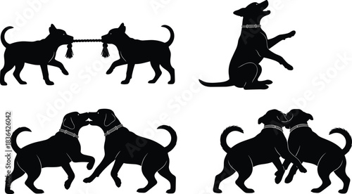 Dog silhouette set showing social interactions like playing tug-of-war, kissing, and rearing up on hind legs, isolated black vector illustration graphic.