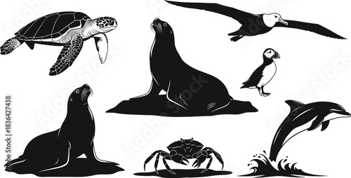 Marine and ocean animal illustration set featuring dolphin, sea turtle, sea lions, albatross, puffin, and crab, isolated black vector graphic.